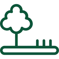 tree- removal